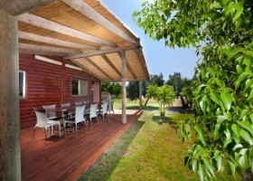 אהבה מול הים- כשמו כן הוא, במרחק הליכה מחוף דור ממוקמים להם 2 צימרים רומנטיים. צמוד לחדרה, זכרון יעקב וקיסריה. מומלץ להשכרה לפי שעה שעות.