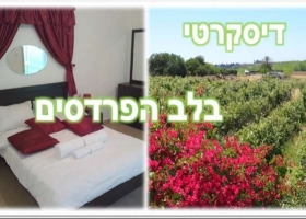 באווירה הקסומה באזור שקט ליד רחובות ונס ציונה שוכן לו מתחם יוקרתי- סולאס.
המתחם המציע חווית אירוח שונה, ייחודית עם פרטיות וללא מפגש. החל מ-150 ש